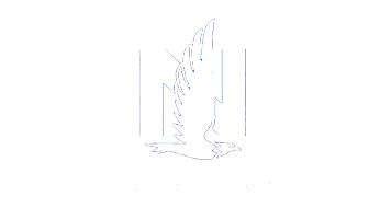 Nationwide auto insurance logo